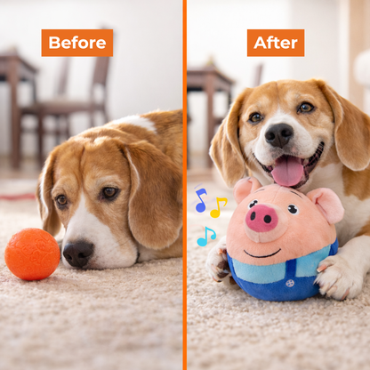 Bounzi™ - Interactive Dog Toy