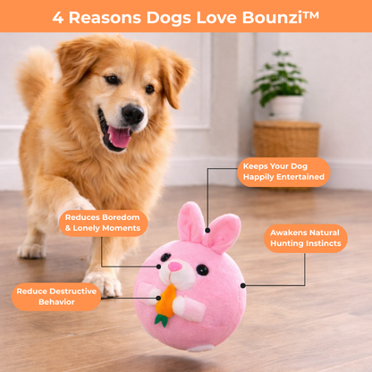 Bounzi™ - Interactive Dog Toy