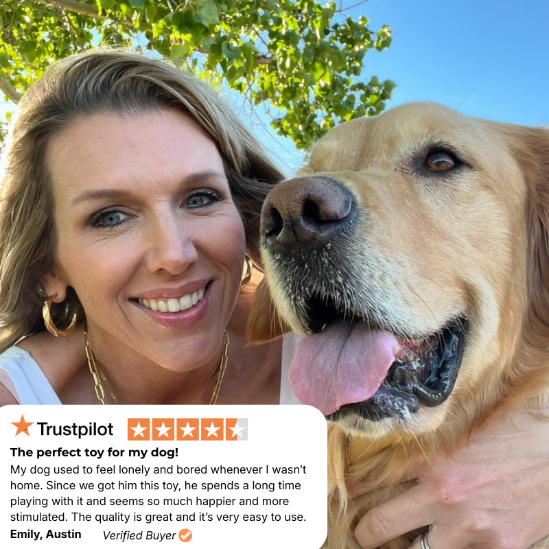Bounzi™ - Interactive Dog Toy