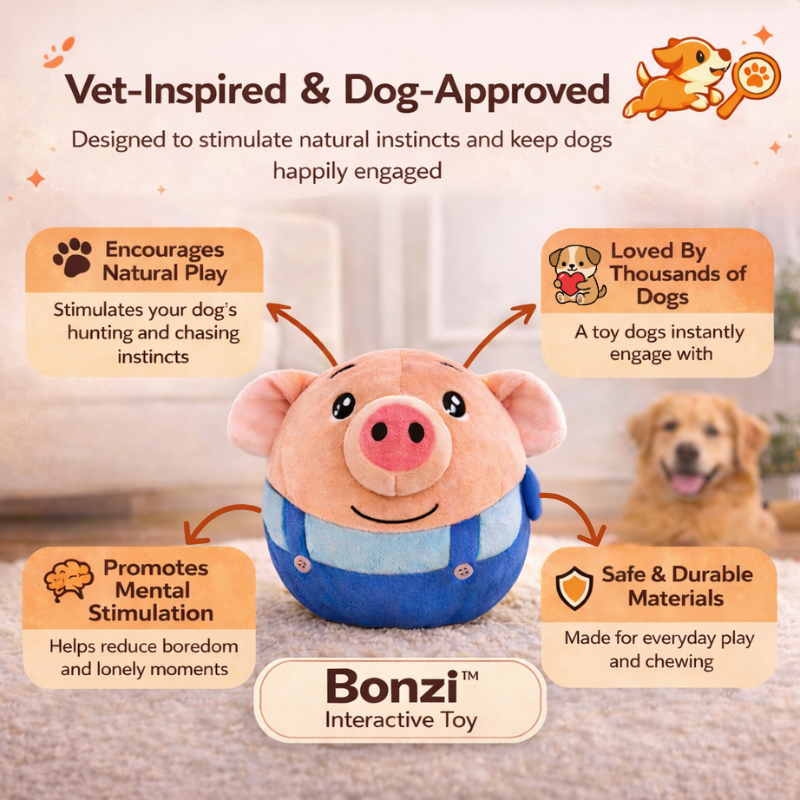 Bounzi™ - Interactive Dog Toy