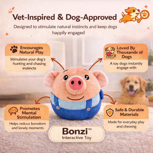 Bounzi™ - Interactive Dog Toy